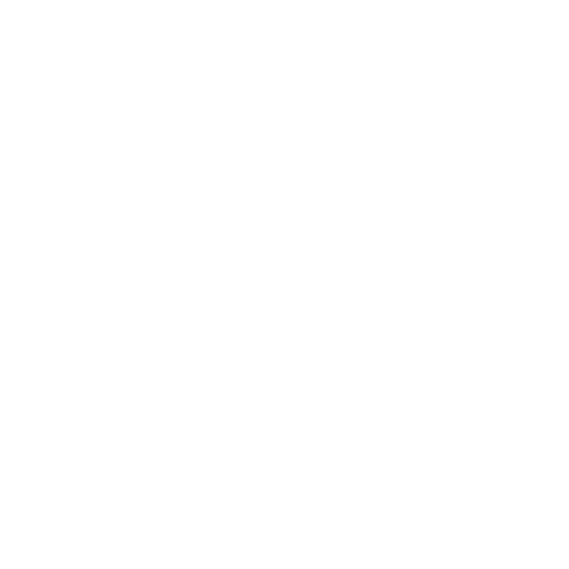 Travellers Choice 2020